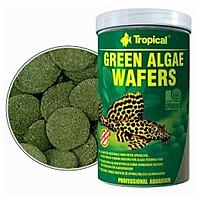     
: tropical green algae wafers.jpg
: 359
:	16.6 
ID:	621270