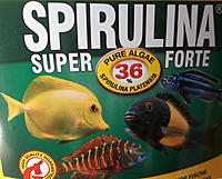     
: spirulina1.jpg
: 186
:	546.7 
ID:	634903