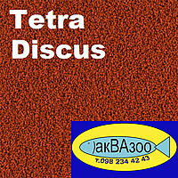     
: Tetra Discus.jpg
: 1698
:	405.9 
ID:	655524