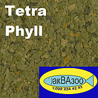     
: Tetra Phyll.jpg
: 1619
:	229.6 
ID:	655525