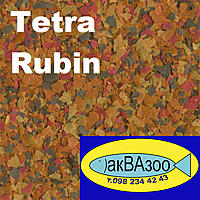     
: Tetra Rubin.jpg
: 1674
:	297.4 
ID:	655531