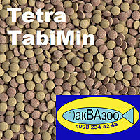     
: Tetra TabiMin.jpg
: 1696
:	277.8 
ID:	655532