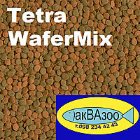     
: Tetra WaferMix.jpg
: 1768
:	312.5 
ID:	655533