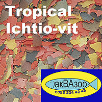     
: Tropical Ichtio-vit.jpg
: 1543
:	259.5 
ID:	655539