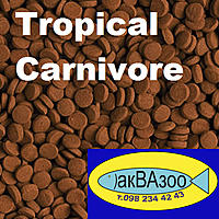     
: TROPICAL CARNIVORE+.jpg
: 1310
:	263.1 
ID:	667319