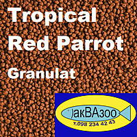     
: TROPICAL RED PARROT GRANULAT+.jpg
: 1233
:	358.6 
ID:	667326