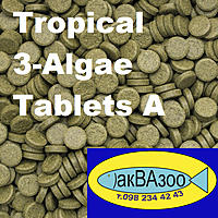     
: Tropical 3-Algae Tablets A.jpg
: 1181
:	251.3 
ID:	670465