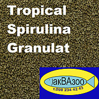     
: Tropical Spirulina Granulat.jpg
: 1373
:	339.2 
ID:	670466