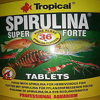     
: Tropical Super Spirulina  tablets 36%j ..jpg
: 136
:	721.5 
ID:	670596