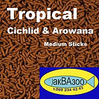     
: Tropical Cichlid & Arowana Medium Sticks.jpg
: 1141
:	149.9 
ID:	672579