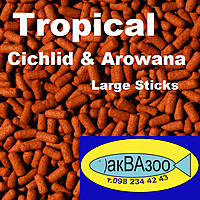     
: Tropical Cichlid & Arowana Large Sticks.jpg
: 1072
:	308.8 
ID:	672730
