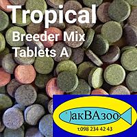     
: Tropical Breeder Mix.jpg
: 74
:	109.5 
ID:	680789