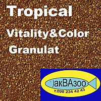     
: Tropical Vitality&Color granulat.jpg
: 390
:	180.8 
ID:	680792