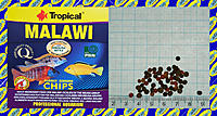     
: Tropical Malawi Chips.jpg
: 154
:	782.0 
ID:	680947