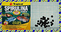     
: Tropical Super Spirulina Forte Chips.jpg
: 120
:	763.2 
ID:	680950