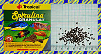     
: Tropical Spirulina Granulat.jpg
: 139
:	870.5 
ID:	680951