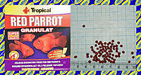     
: Tropical Red Parrot.jpg
: 141
:	725.4 
ID:	680952