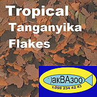     
: Tropical Tanganyika Flakes.jpg
: 257
:	303.7 
ID:	682509