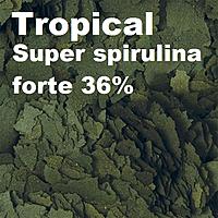     
: Tropical Super spirulina forte 36%.jpg
: 85
:	125.1 
ID:	682808