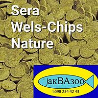     
: Sera Wels-Chips.jpg
: 89
:	104.9 
ID:	693453