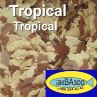     
: Tropical Tropical_500x500.png
: 42
:	455.7 
ID:	693781