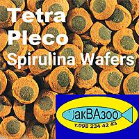     
: Tetra Pleco Spirulina Wafers.jpg
: 47
:	141.1 
ID:	694042