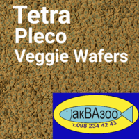     
: Tetra Pleco Veggie Wafers .png
: 84
:	582.8 
ID:	694043