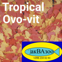     
: Tropical Ovo-vit .png
: 2
:	436.2 
ID:	695143