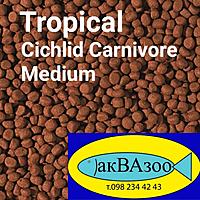     
: Tropical Cichlid Carnivore Medium 500x500.jpg
: 2
:	119.9 
ID:	695233