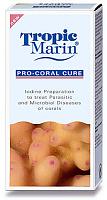    
: PRO-CORAL-CURE.jpg
: 541
:	23.9 
ID:	46251