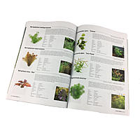     
: dennerle-aquarium-plant-guide_04.jpg
: 410
:	566.6 
ID:	587618