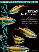     
: C1_A5.4_586x787_Tetras.jpg
: 207
:	58.2 
ID:	595444