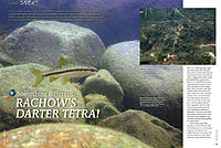     
: 32_33-Rachows-Darter-Tetra_lg.jpg
: 254
:	147.4 
ID:	595448