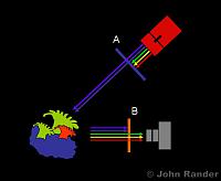     
: fluorescence-uw-setup.jpg
: 319
:	61.6 
ID:	301129