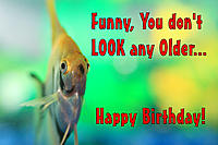     
: HappyBirthdayFish.jpg
: 101
:	212.7 
ID:	563883