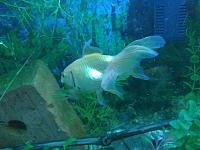     
: Image0248.jpg
: 1244
:	439.6 
ID:	79163