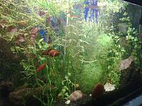     
: Image0251.jpg
: 1077
:	496.2 
ID:	79166