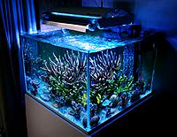     
: modern-reef-10.jpg
: 566
:	562.5 
ID:	539397