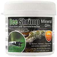     
: saltyshrimp-bee-shrimp-mineral-gh-01.jpg
: 204
:	105.1 
ID:	690075