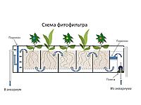     
: aqa.ru-20100810140742.jpg
: 572
:	117.7 
ID:	532740