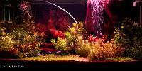     
: aquarium-1152861827_i_8694_full.jpg
: 344
:	50.4 
ID:	227372