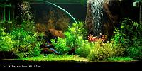     
: aquarium-1152861885_i_4805_full.jpg
: 422
:	53.5 
ID:	227373