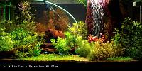     
: aquarium-1152865919_i_3710_full.jpg
: 401
:	53.1 
ID:	227374