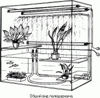     
: paludarium12.gif
: 2948
:	21.6 
ID:	336408