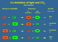     
: co2light.gif
: 4045
:	50.9 
ID:	6674