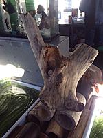     
: image1.jpg
: 376
:	140.1 
ID:	520508