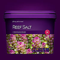     
: ReefSalt10l.jpg
: 538
:	107.7 
ID:	548192