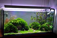     
: 100L Aquascape.jpg
: 888
:	440.0 
ID:	619797