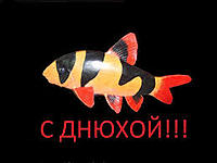     
: images.jpg
: 131
:	7.1 
ID:	547470