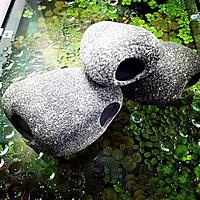     
: 3x-aquarium-fish-tank-cichlid-stones-ceramic.jpg
: 182
:	67.6 
ID:	581621